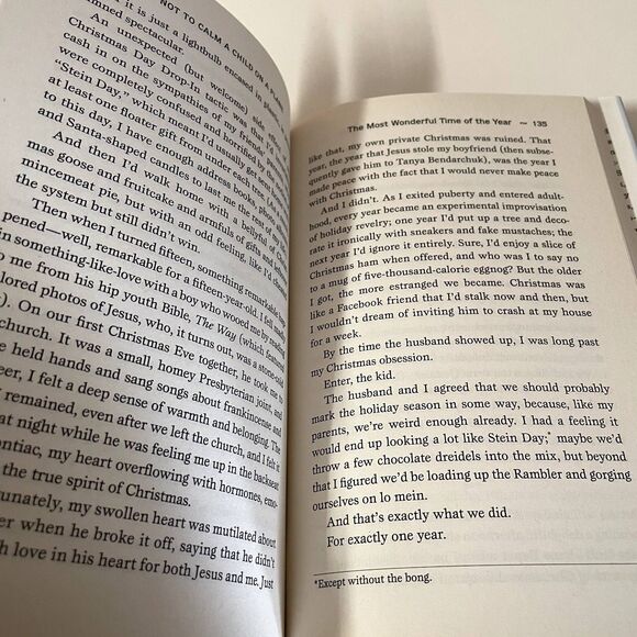 How Not to Calm a Child on a Plane by Johanna Stein Hardcover Book GUC - Picture 8 of 8